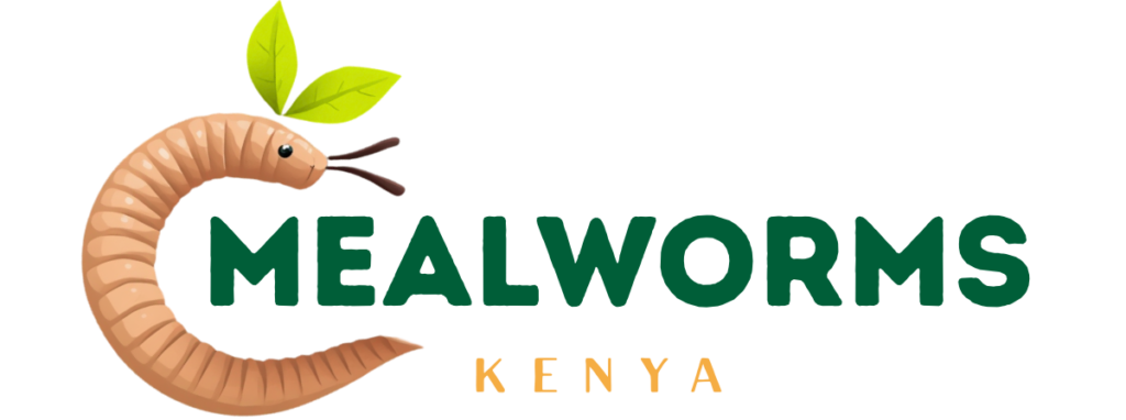 meal worms kenya