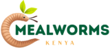 meal worms kenya